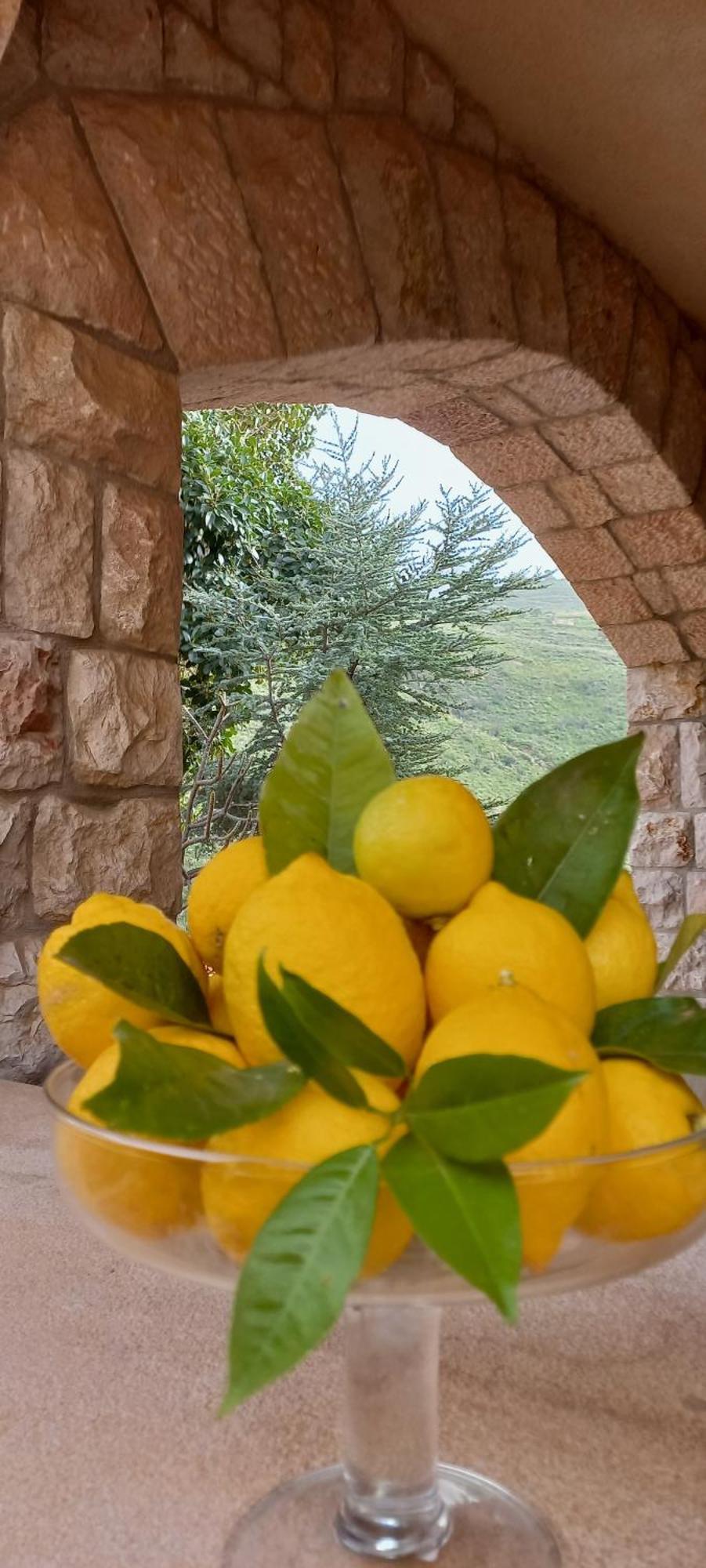 Villa Verde تْشيفالو المظهر الخارجي الصورة