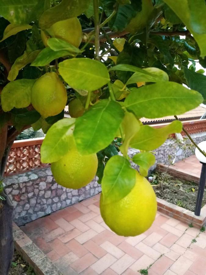 Villa Verde تْشيفالو المظهر الخارجي الصورة