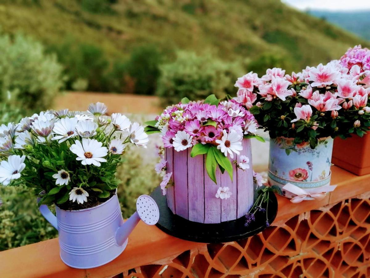 Villa Verde تْشيفالو المظهر الخارجي الصورة